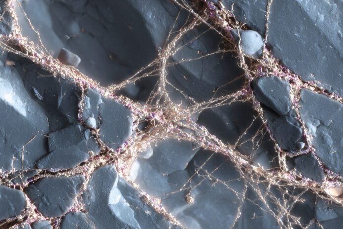 A microscopic view of a platinum sample showing evidence of self-healing nanocracks.