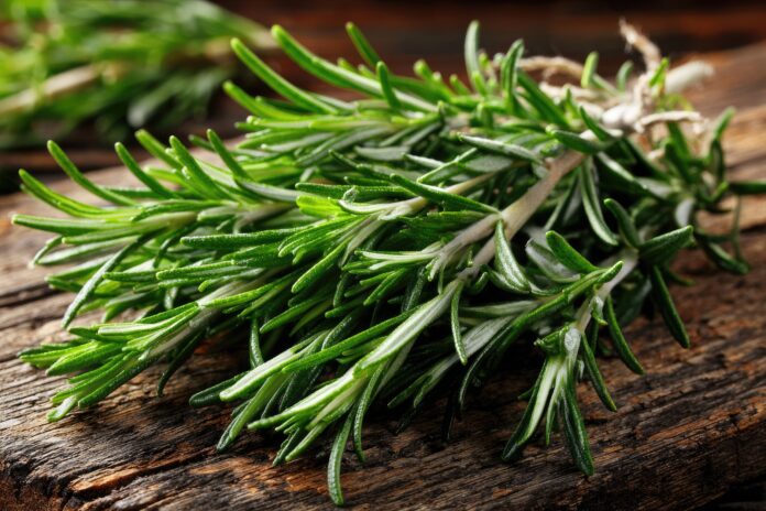 Fresh rosemary sprigs on a wooden table, symbolizing natural brain health.