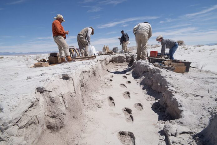 Excavation site of ancient human footprints at White Sands National Park, New Mexico, showing archaeologists at work in the field.