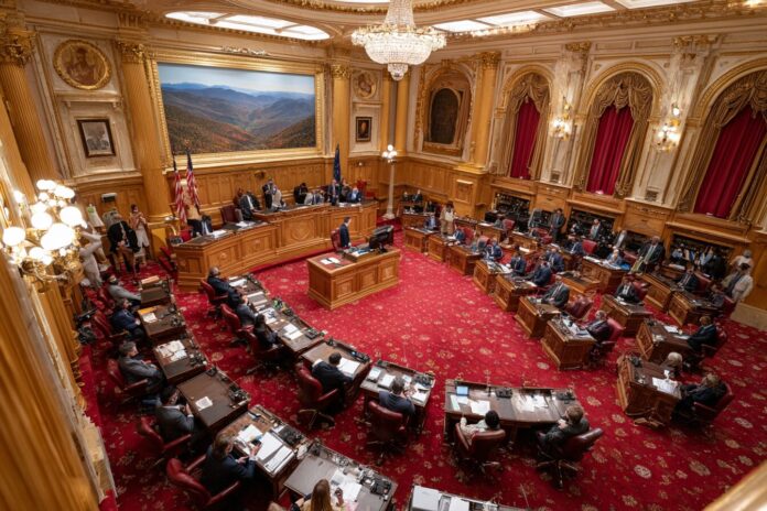 Senate in session with senators debating AI regulation and state funding