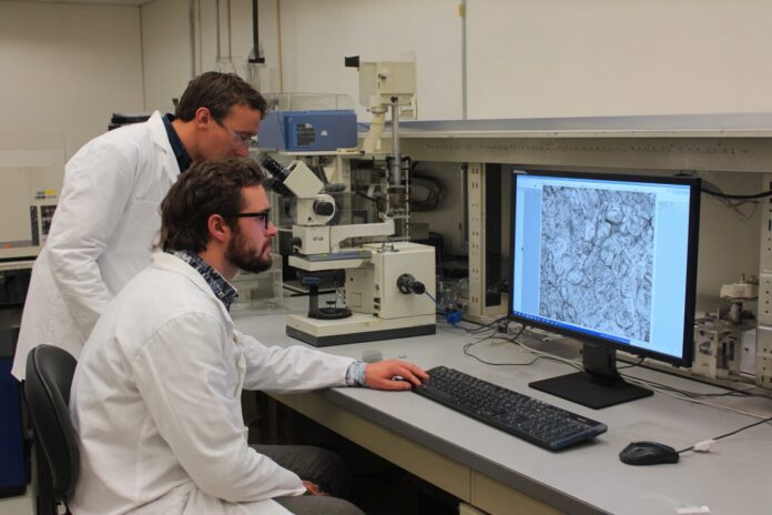 Researchers study an ancient lunar meteorite at a laboratory workstation