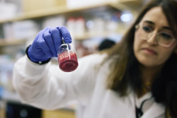 Medics preparing artificial blood transfusion at accident scene