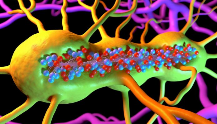 Colorful 3D rendering of neurons with sugar molecules highlighted, representing glycogen storage in the brain.