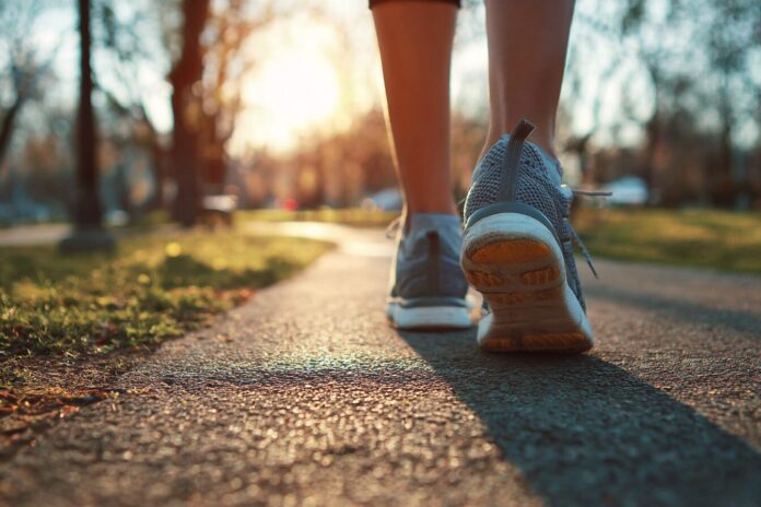 A pair of athletic shoes mid-stride on a sunny park path during a brisk walk