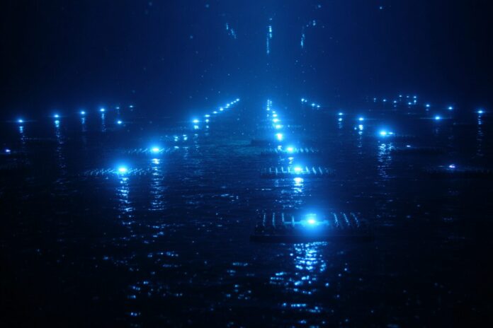Underwater neutrino detector array with blue lights in the dark Mediterranean Sea