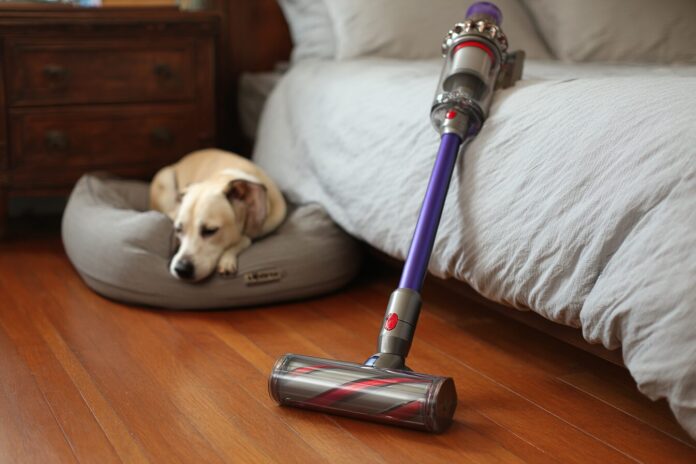 Dyson V8 Cyclone vacuum cleaning hardwood floor next to a pet bed