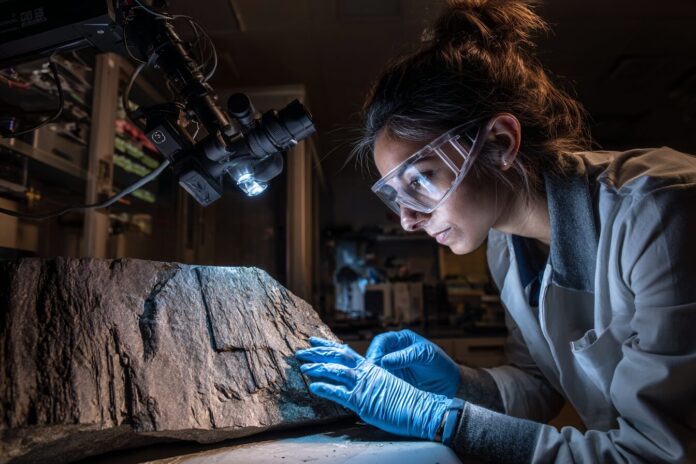 Scientist in lab examining a basalt rock with an advanced spectroscopy tool.