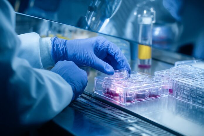 A gloved scientist prepares a fecal transplant capsule in a sterile lab.